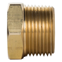 1/4" Brass Hex Head Plug