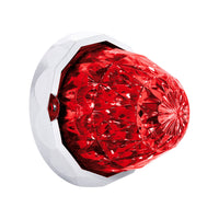 19 LED Dual Function Crystal Watermelon Light Kit With Bezel (Various Colors)