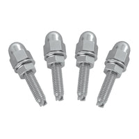 Acorn License Plate Nut Set (4 Pack)