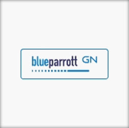 BlueParrot