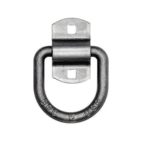 Bolt-On 1/2" Forged Lashing D-Ring