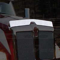 Panelite - Kenworth T880 Stainless Steel Bug Deflector