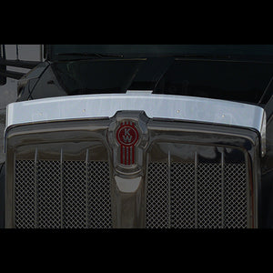 Panelite - Kenworth W990 Stainless Steel Bug Deflector