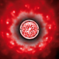 19 LED Dual Function Crystal Watermelon Light Kit With Bezel (Various Colors)