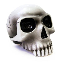 Twisted Shifterz - "Richard Cranium" Shift Knob (Various Colors)