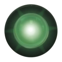 Grand General - Amber or Green Interior Single LED Snake Light