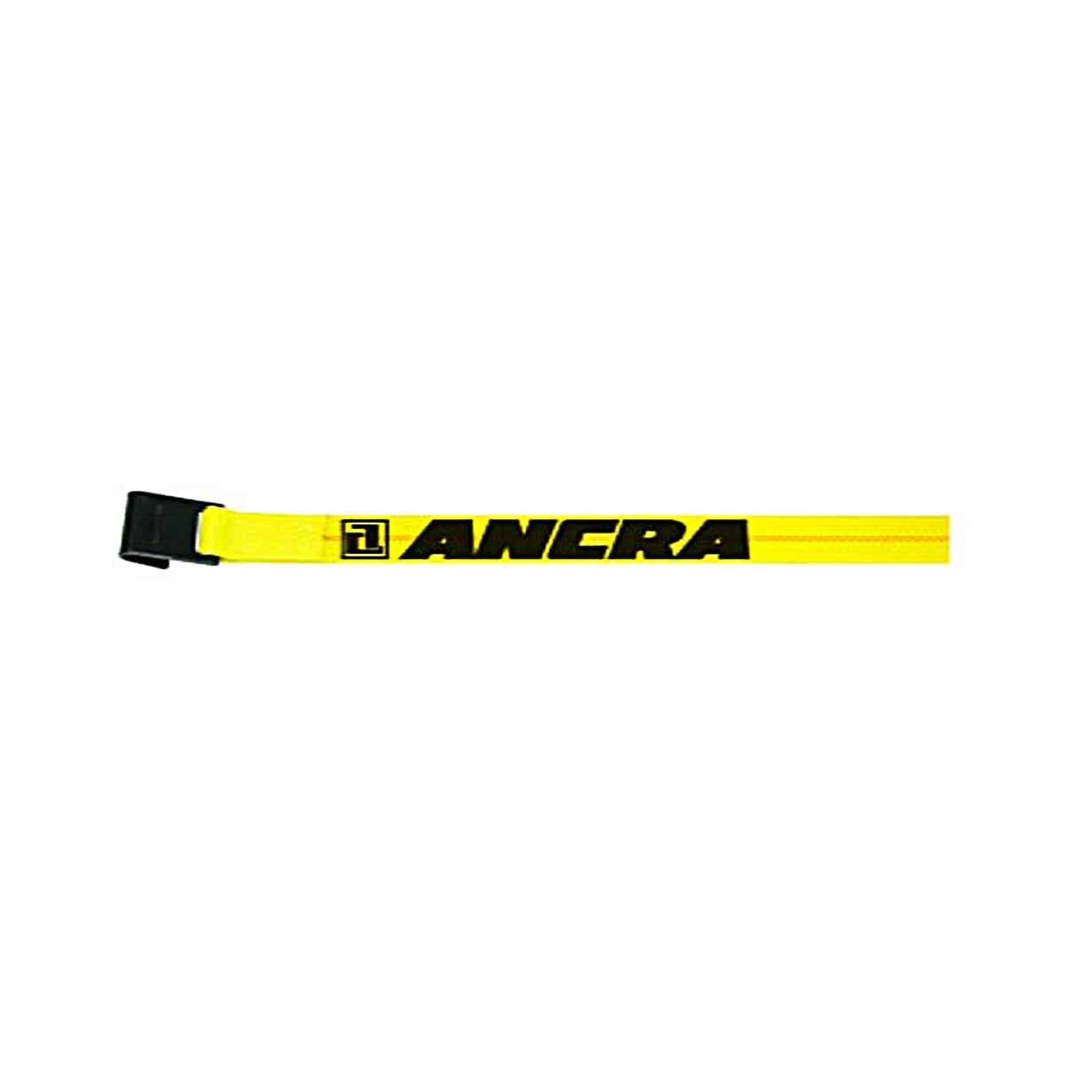 2" Winch Straps w/Flat Hooks