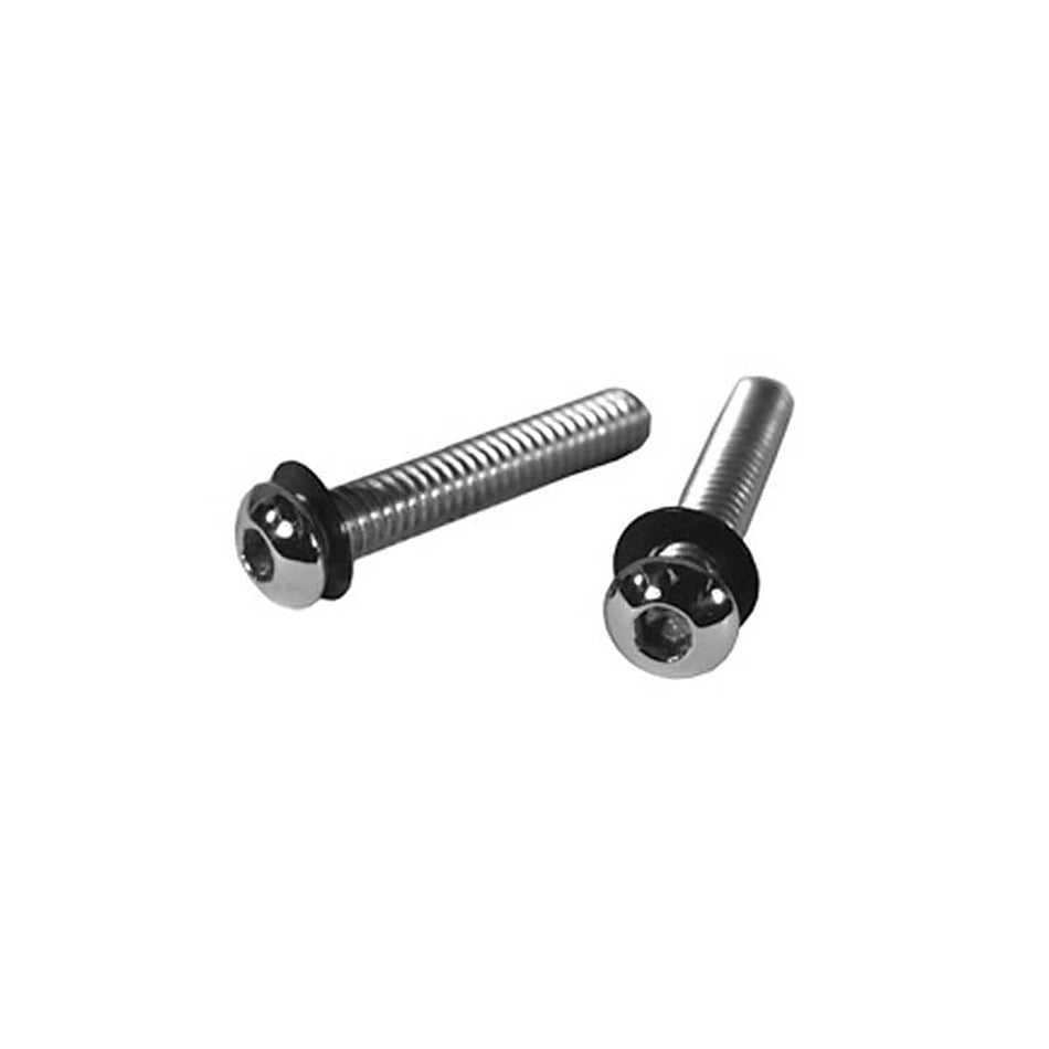Rockwood - 4 Pack of Long Chrome Peterbilt Screws