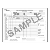 Trip Cost Report (Envelope-white)